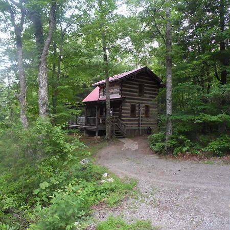 Fiddlers Roost B&B Cabins Galax Ngoại thất bức ảnh