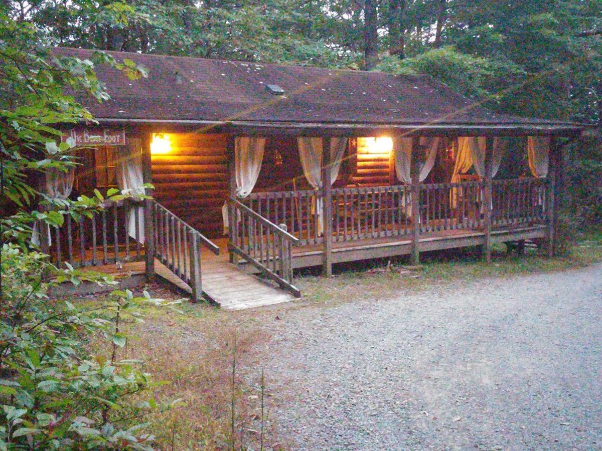 Fiddlers Roost B&B Cabins Galax Ngoại thất bức ảnh